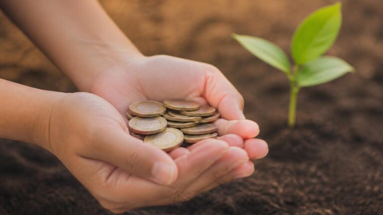 Mãos segurando moedas com uma planta crescendo ao fundo simbolizando investimento social e ambiental